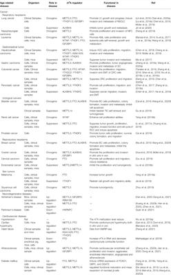 The Potential Role of m6A RNA Methylation in the Aging Process and Aging-Associated Diseases